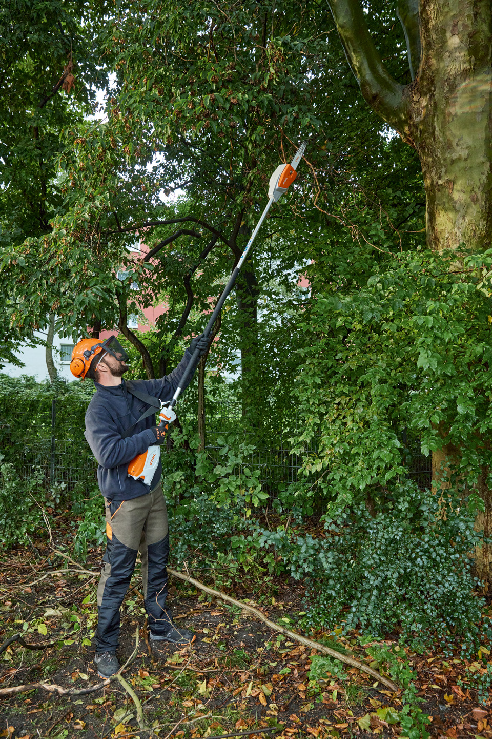 HTA 66 Cordless Pole Pruner - AP System