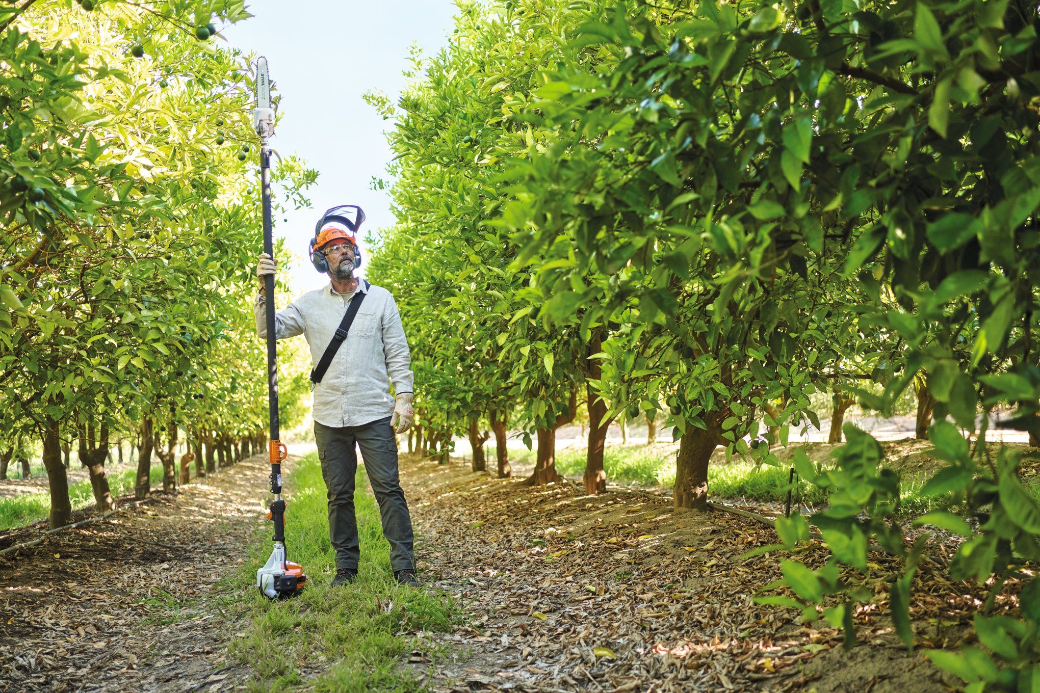 Man standing with pole pruner in the farm